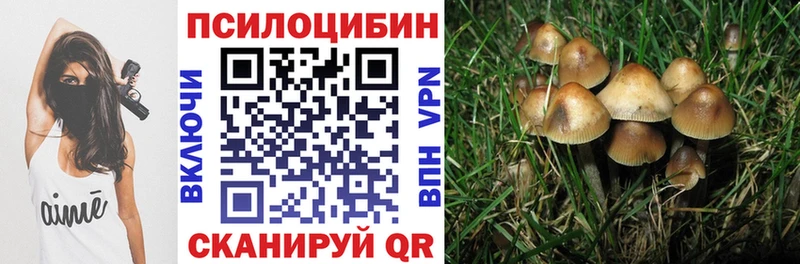 даркнет сайт  Волчанск  Псилоцибиновые грибы мухоморы 